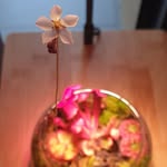 Pearline Lee - @pearline.lee.779 - Instagram
