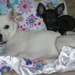 Pebbles Means - Facebook