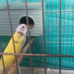 pedram - @pedram_hatamiii - Instagram