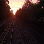 Pedro Alegre - @peter_eluy - Instagram