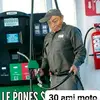 gato pequeño - @pedroalegria83 - TikTok