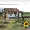 Pedro Andrada - @pedro.andrada2 - TikTok