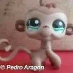 pedro aragon - @p.aragon239 - Instagram
