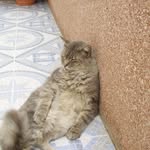 Pedro Aragon González - @pedroaragongonzalez - Instagram