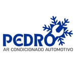Ar Condicionado Automotivo | Juazeiro do Norte - @pedroarcondicionado2025 - Instagram