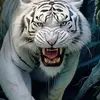 Pedro Arriaga - @pedro.arriaga032 - TikTok