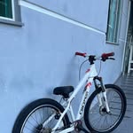 Pedro_Beato - @pedrohugo244157 - Instagram