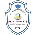 Escuela Pedro Benavente - Facebook