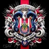 Pedro Bracamontes - @brakamontes071 - TikTok