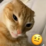 pedro Jesus bracamontes - @pedrojesusbracamontes - Instagram