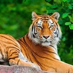 pedro camarillo - @pedrocamarillo9 - Instagram