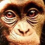 Pedro Cancel - @pedro.cancel - Instagram