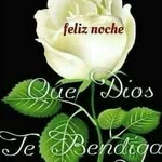 pedro canelo - @reinaldo_832 - Instagram