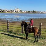 Pedro Cano - @pedrincano - Instagram