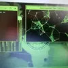 pedro.catalan - @pedro.catalan - TikTok