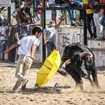 Pedro Chambel - Facebook