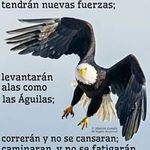 Pedro Chavarria - @pedro.chavarria.96930 - Instagram