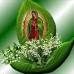 Pedro Chim - Facebook