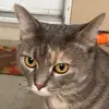 PedroChimp - @pedrochimp - TikTok
