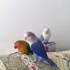 Pedro Cintado - @pedro.cintado - TikTok