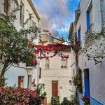 pedro cintado - @cintado.pedro - Instagram