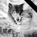 Pedro Coyuchi - Facebook