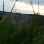 pedro damian - @el_pedro_1612 - Instagram