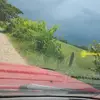 pedrodamian - @pedro.damian24 - TikTok