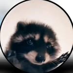 @pedro___day - Instagram