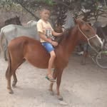 Pedro Deyvison - @pedrodayvison - Instagram