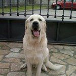 Pedro Diez Cuesta - @pedro.diezcuesta - Instagram