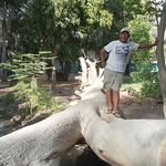 Pedro Encinas Torres - @pedroencinastorres - Instagram