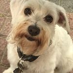 Pedro Escalera - @pedro.escalera.5205 - Instagram