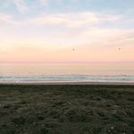 Pedro Espada - @pedro.espada93 - Instagram
