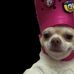 Pedro Favela - Facebook