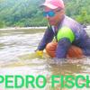 Pedrofisch - @pedrofisch47 - TikTok