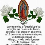 Pedro Galarza - @pedro.galarza.7731 - Instagram