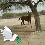 Pedro Galarza - @galarzapedro93 - Instagram