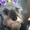 Pedro garduno - @pedrodamian060910 - TikTok