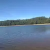 pedrogarduno4 - @pedrogarduno4 - TikTok