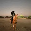 ..p..r - @pedrogerardo753 - TikTok