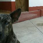 pedro german luna tellez - @pedrogermanluna - Instagram