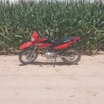 pedro hamm - @pedrohamm3 - Instagram