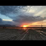Pedro Hamm - @hamm.pedro - Instagram