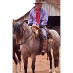 Pedro Elenir Cleci Hansen - @pedrohansen442018 - Instagram