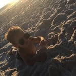 Pedro Arthur - @pedroharturmuniz - Instagram