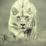 PEDRO PABLO HAUSER - @pedropablohauser - Instagram