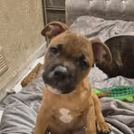 Pedro Henderson - Facebook