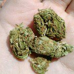 @hendrix_pedro - Instagram
