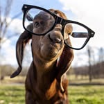 pedro hicks - @peter_hicks - Instagram